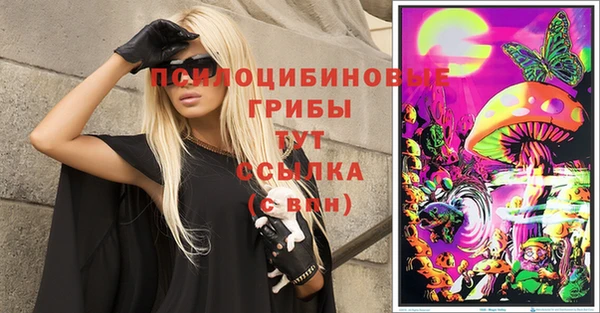ПСИЛОЦИБИНОВЫЕ ГРИБЫ Абдулино