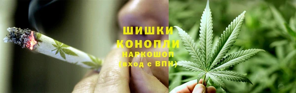 ПСИЛОЦИБИНОВЫЕ ГРИБЫ Абдулино