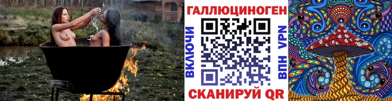 сайты даркнета телеграм  Нерчинск  Галлюциногенные грибы мицелий 